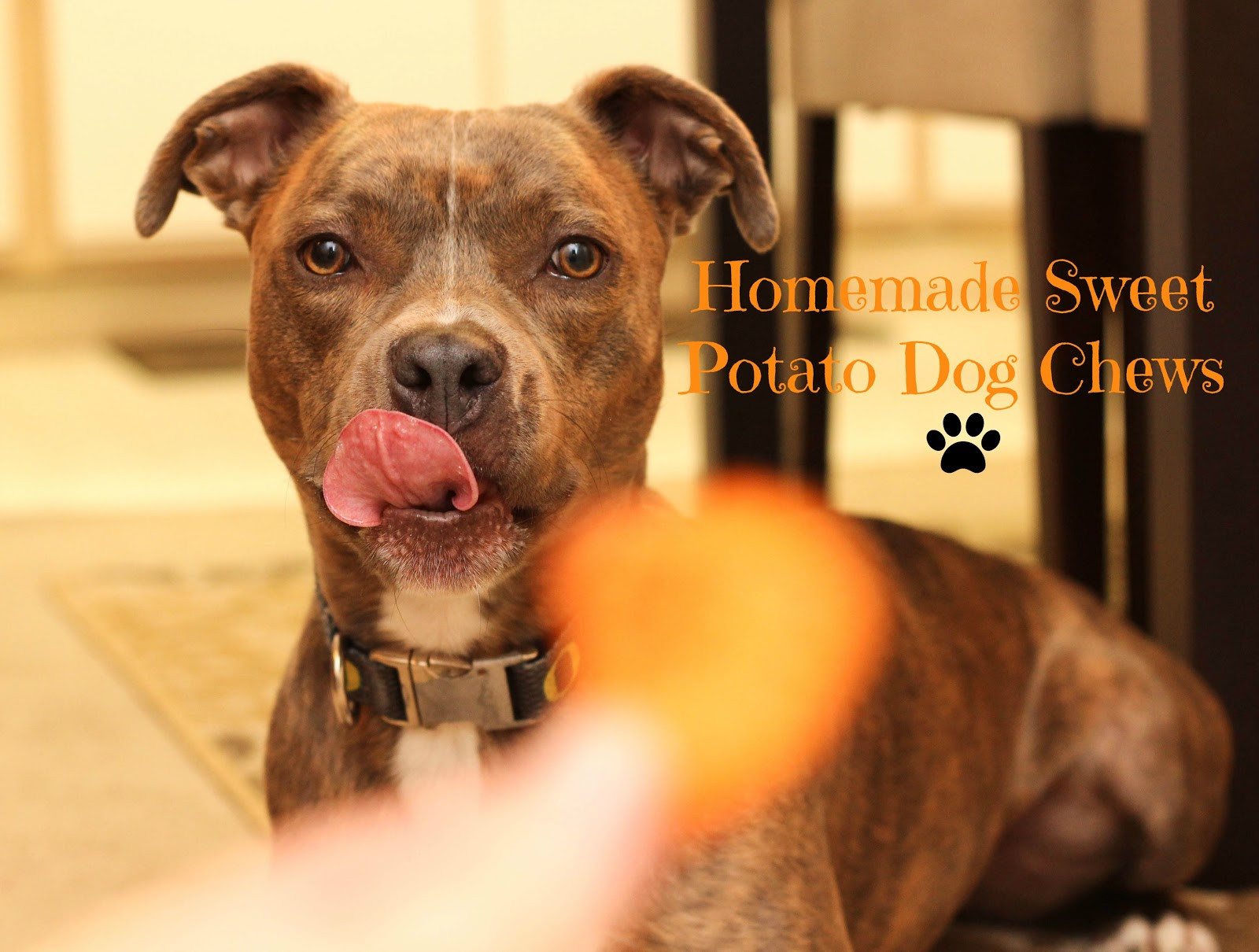 Sweet Potato Dog Chews
 Pitlandia Pinterest Inspiration Sweet Potato Dog Chews