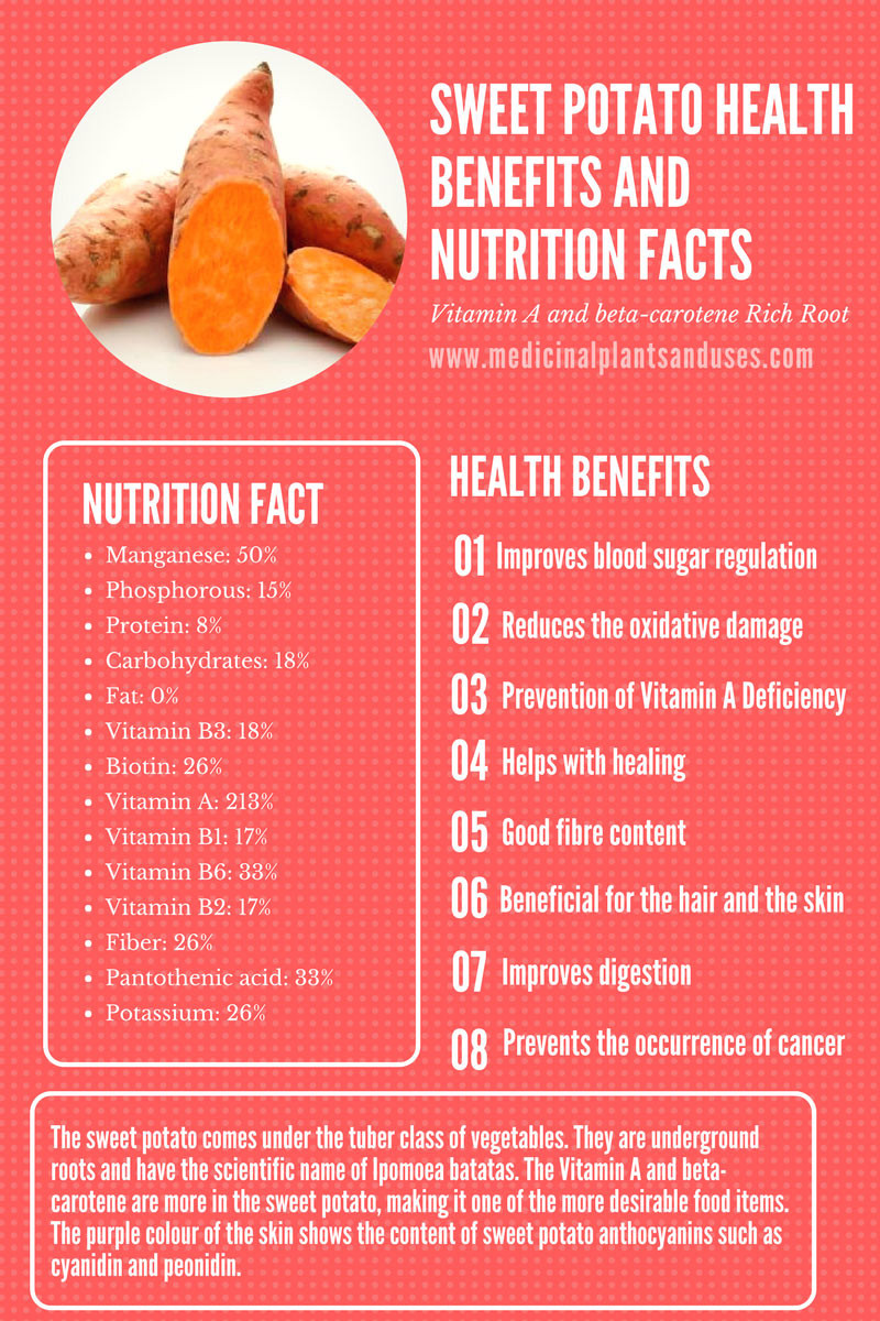 Sweet Potato Nutrition Information
 Sweet Potato Health Benefits and Nutrition Facts Ipomoea