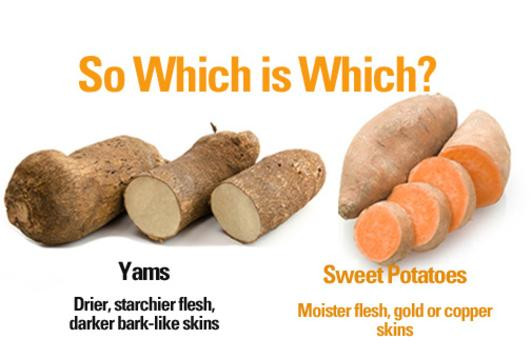 Sweet Potato Nutrition Information
 Nutrition Facts