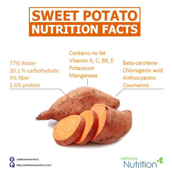 Sweet Potato Nutrition Information
 carbs in pumpkin vs sweet potato