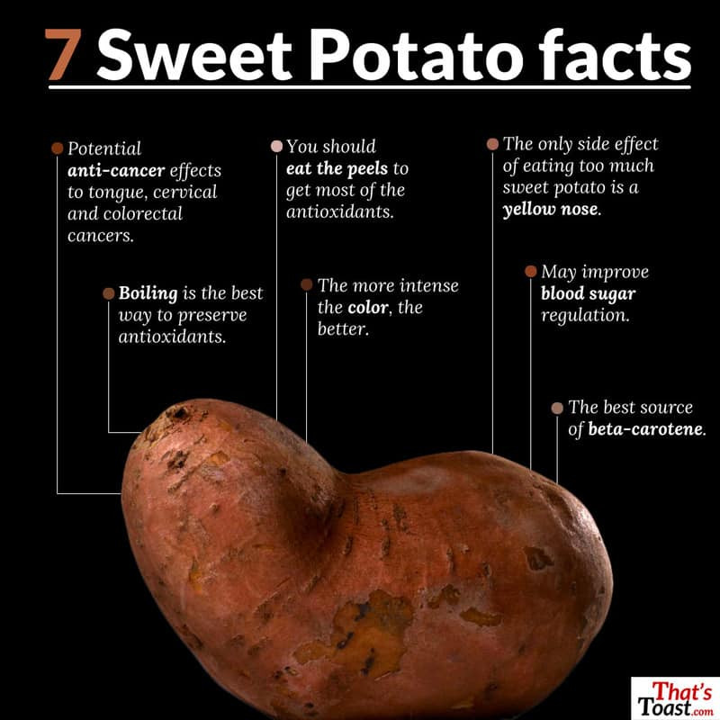 Sweet Potato Nutrition Information
 Top mon Prejudices About Can Dogs Eat Sweet Potatoes