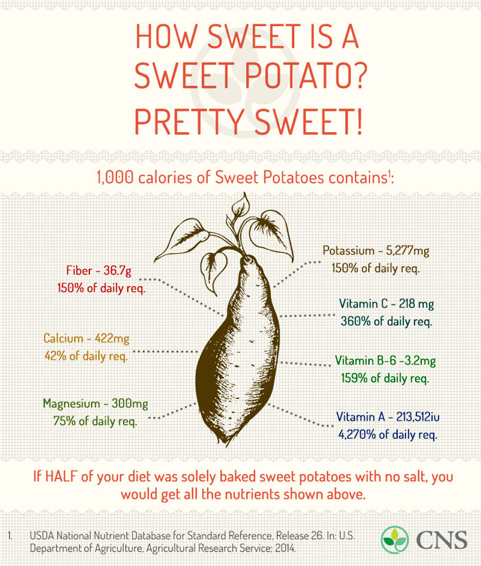 Sweet Potato Nutrition Information
 How Sweet is a Sweet Potato Pretty Sweet Nutrition Stu s