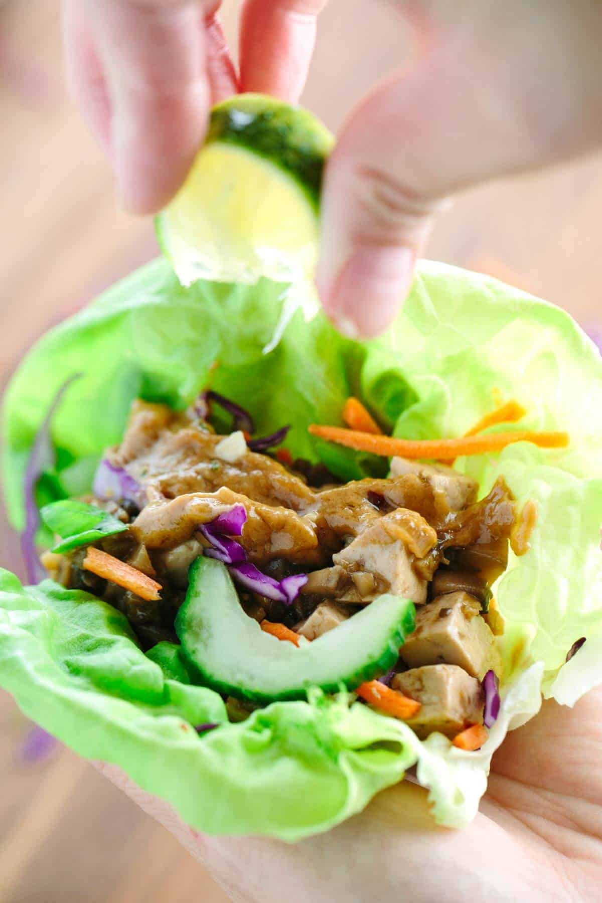 Tofu Lettuce Wraps Recipes
 Healthy Asian Tofu Lettuce Wraps with Peanut Sauce