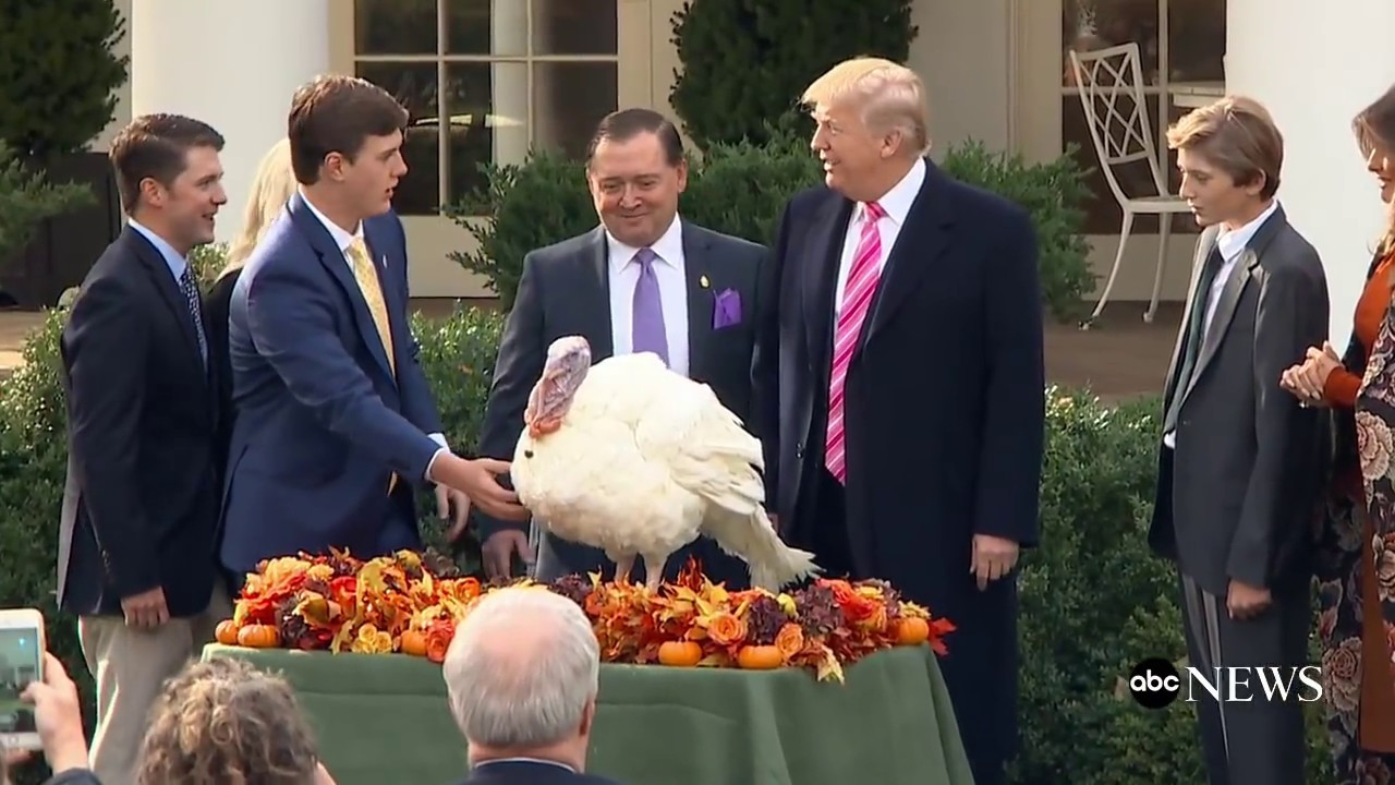 Trump Thanksgiving Turkey
 President Donald Trump pardons 2017 Thanksgiving turkeys