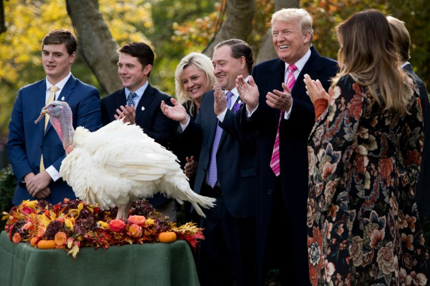 Trump Thanksgiving Turkey
 Donald Trump’s Thanksgiving menu Grievances with a side