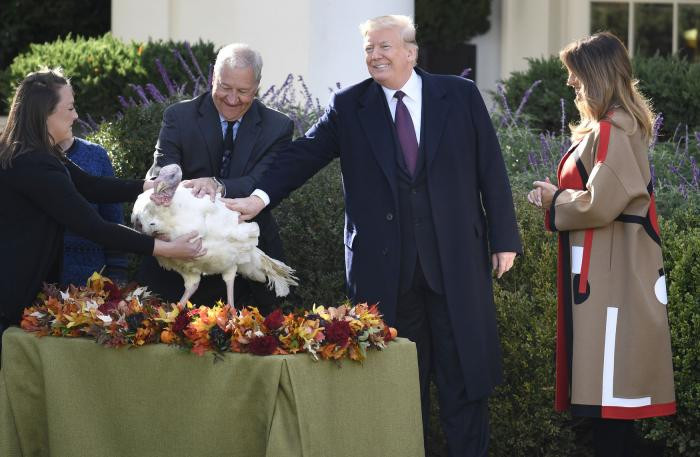 Trump Thanksgiving Turkey
 Donald Trump pardons National Thanksgiving Turkey Peas
