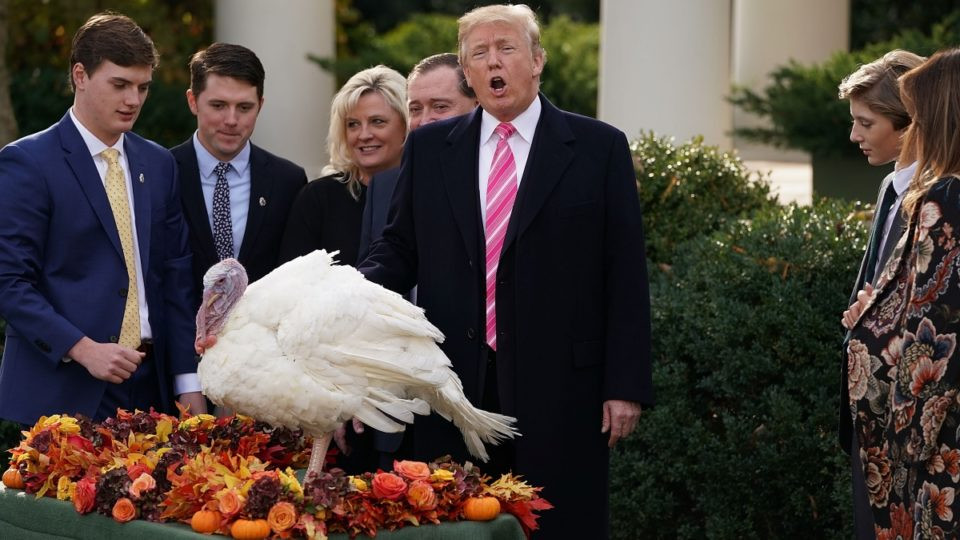 Trump Thanksgiving Turkey
 How Trump Spent His First Thanksgiving as President