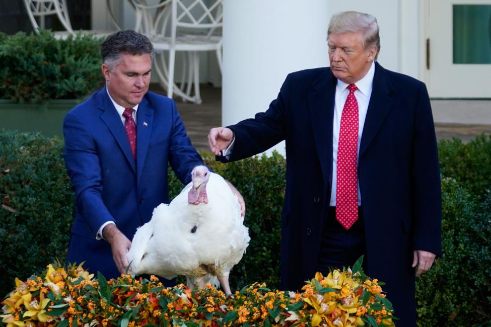 Trump Thanksgiving Turkey
 Watch President Donald Trump pardons Butter the turkey