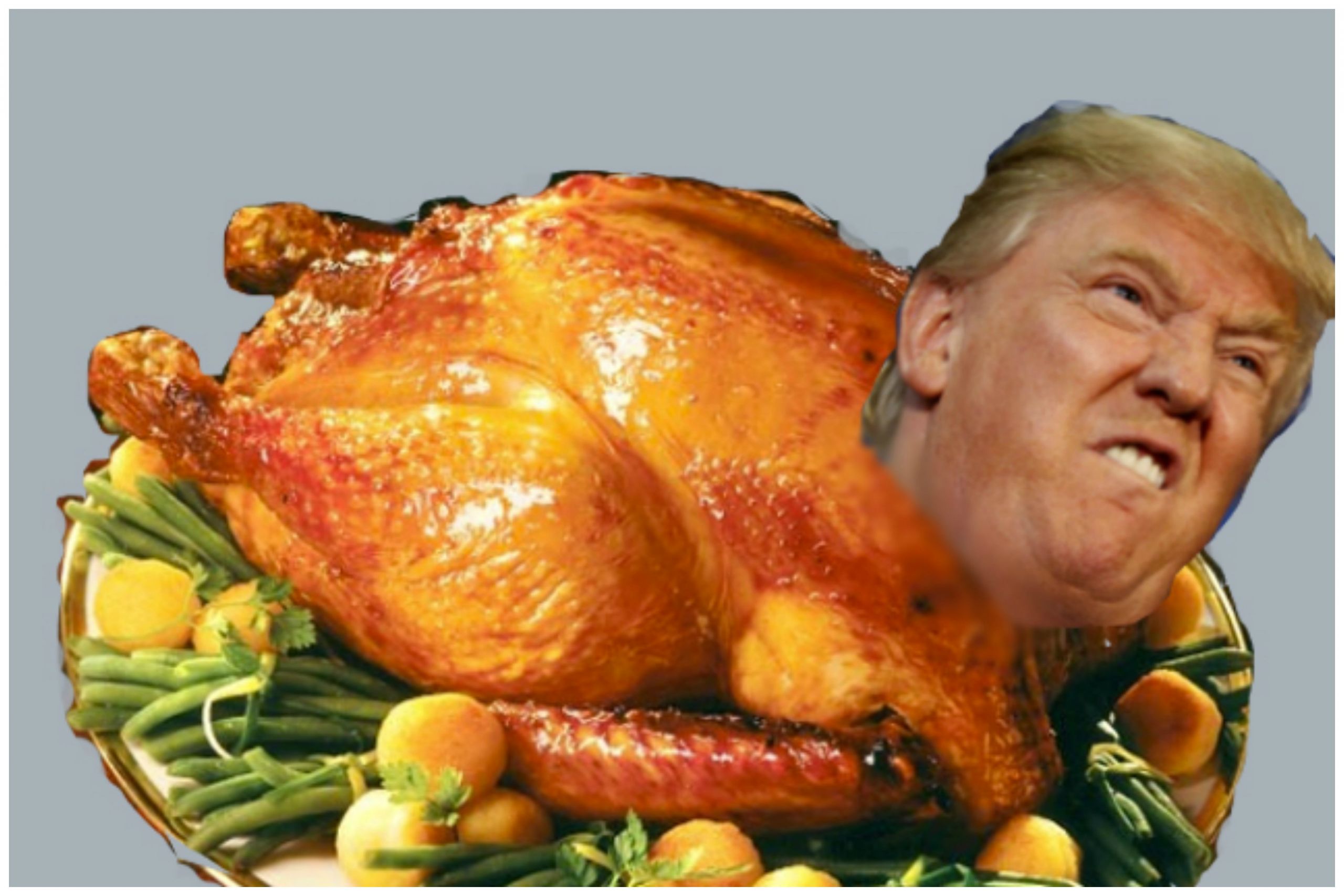 Trump Thanksgiving Turkey
 How to Broil a Trump Turkey – OutSmart Magazine