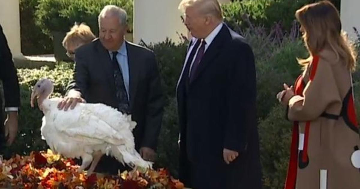Trump Thanksgiving Turkey
 Trump pardons Thanksgiving turkey CBS News