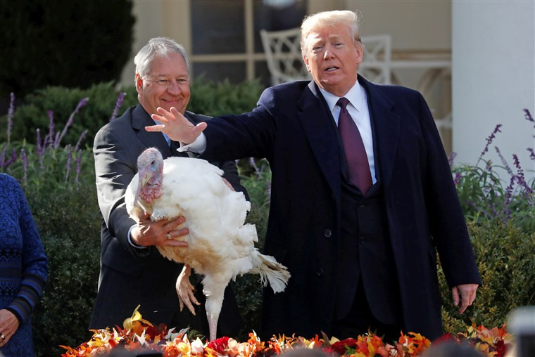 Trump Thanksgiving Turkey
 Trump jokingly warns pardoned turkeys of recounts subpoenas