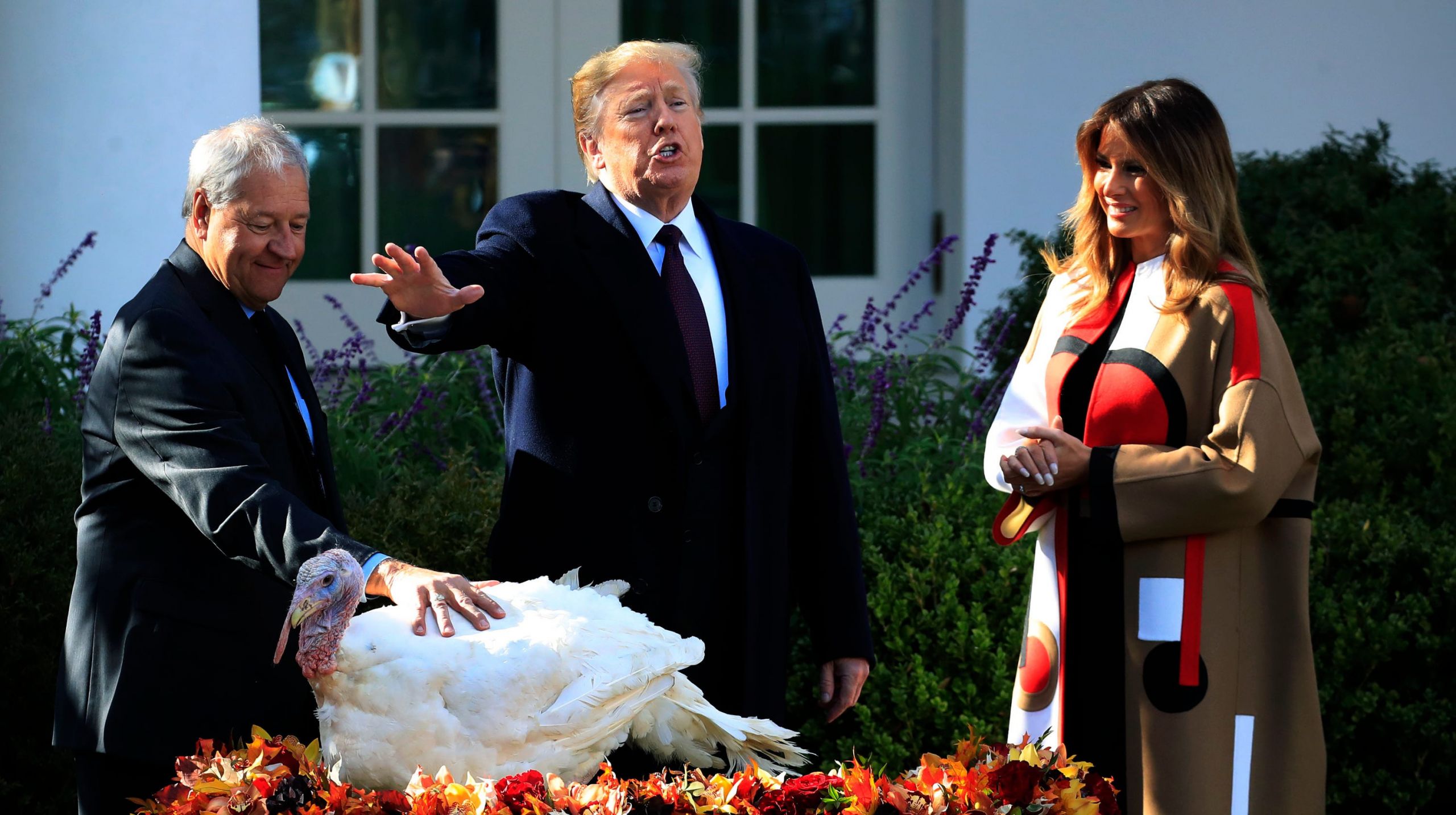 Trump Thanksgiving Turkey
 Watch Trump s turkey pardon South Dakota turkeys shine on