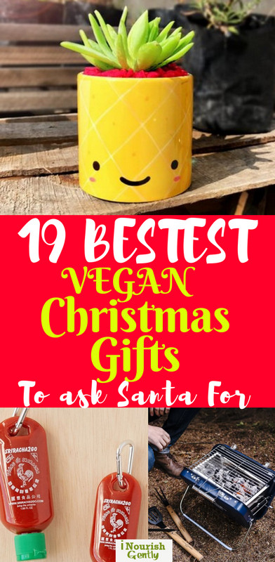 Vegan Christmas Gift Ideas
 19 BESTEST Vegan Christmas Gifts To Ask Santa For