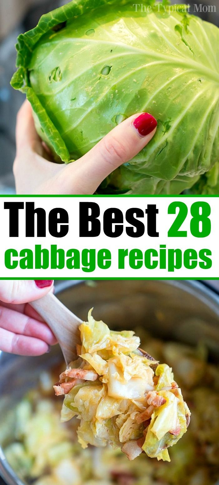 Vegetarian Cabbage Recipes Easy
 Simple Cabbage Recipes