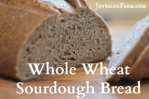 Wholewheat Sourdough Bread
 Whole wheat sourdough bread recipe Joybilee Farm