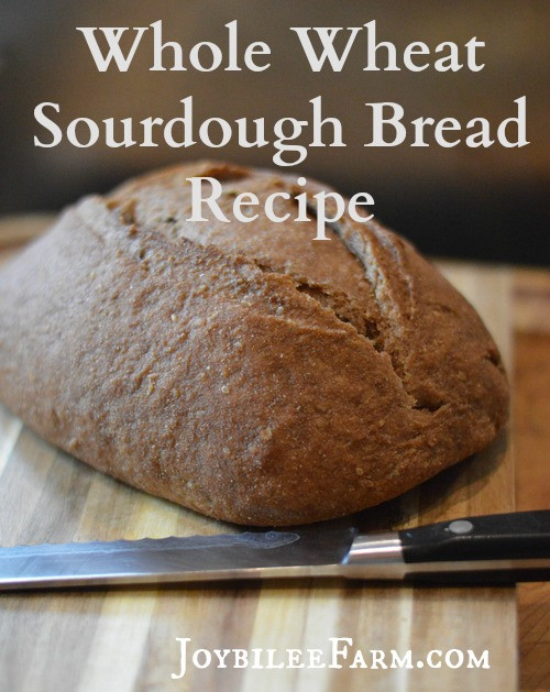 Wholewheat Sourdough Bread
 Whole wheat sourdough bread recipe Joybilee Farm