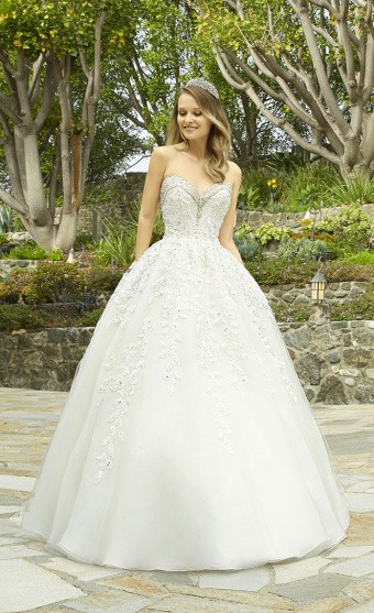 A Line Ball Gown Wedding Dresses
 Ball Gown vs A line Wedding Dresses