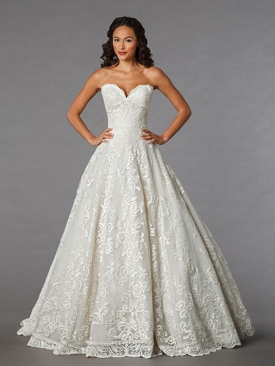A Line Ball Gown Wedding Dresses
 The Ultimate Guide to Your Wedding Dress