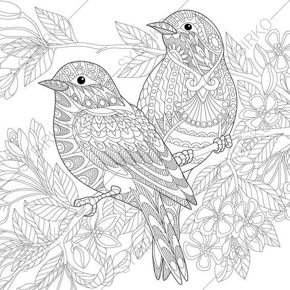 Adult Coloring Book Pages
 Adult Coloring Pages Sparrow Birds Zentangle Doodle Coloring