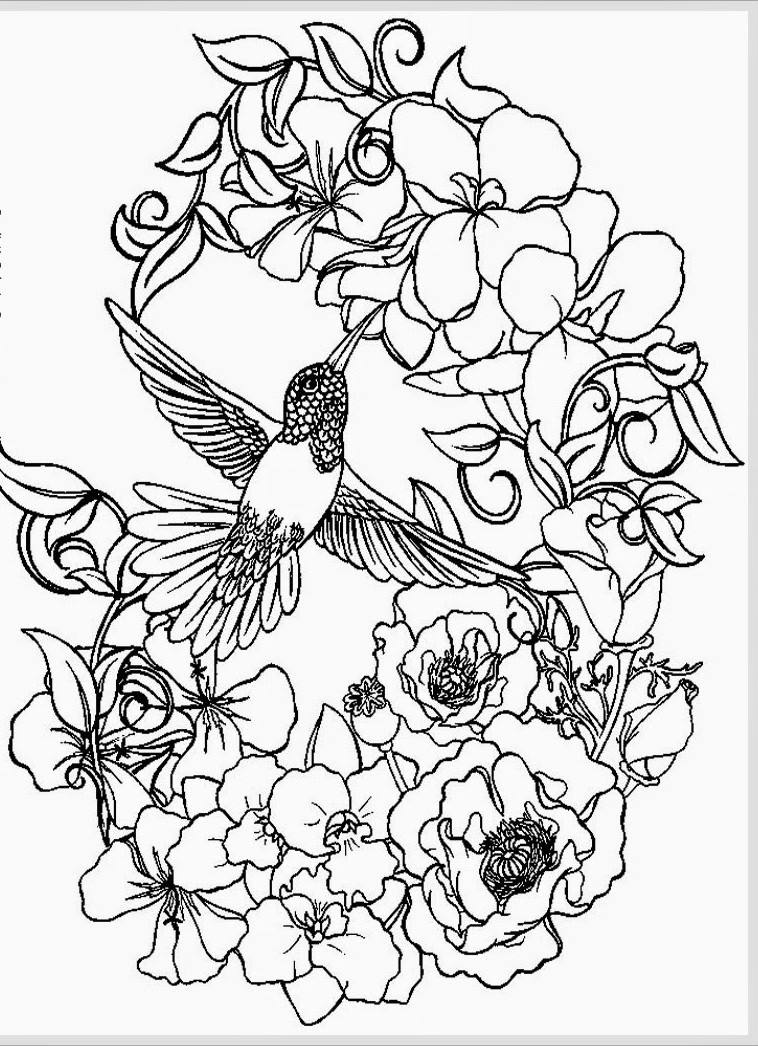 Adult Coloring Pages Free Printable
 Awesome Adult Coloring Coloring Pages