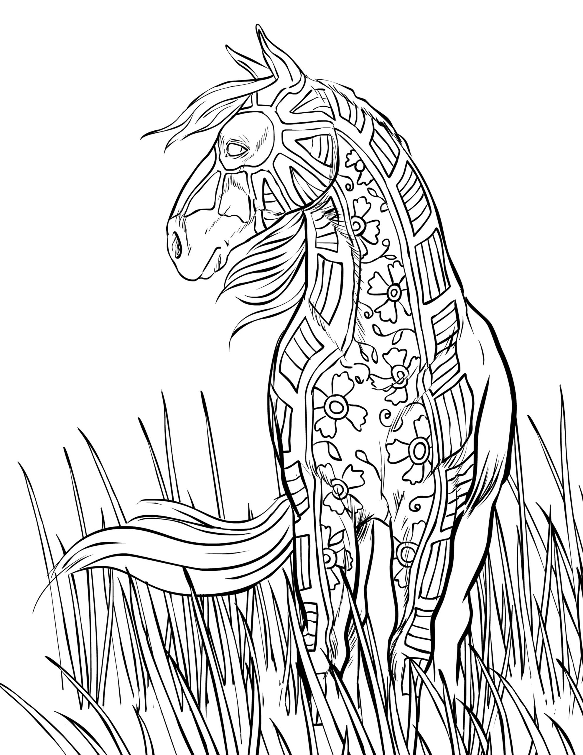 Adult Coloring Pages Horses
 FREE HORSE COLORING PAGES