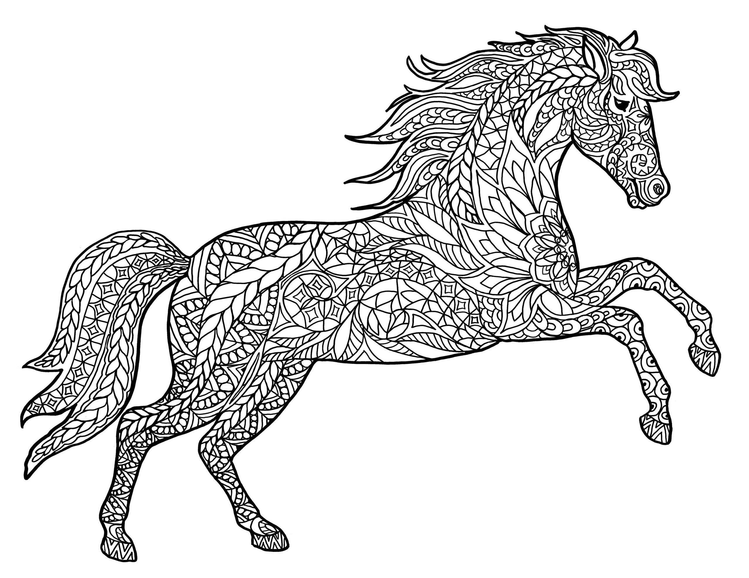 Adult Coloring Pages Horses
 Animal Coloring Pages for Adults Best Coloring Pages For