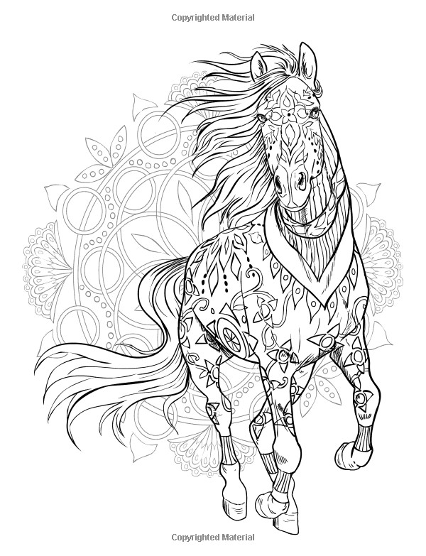 Adult Coloring Pages Horses
 Pin by grammy fran on HORSES
