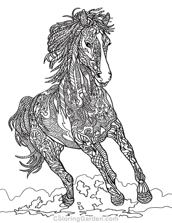 Adult Coloring Pages Horses
 Horse Adult Coloring Page