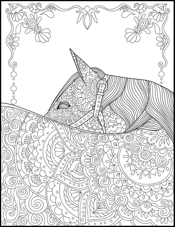 Adult Coloring Pages Horses
 Printable Coloring Page Adult Coloring Pages Horse
