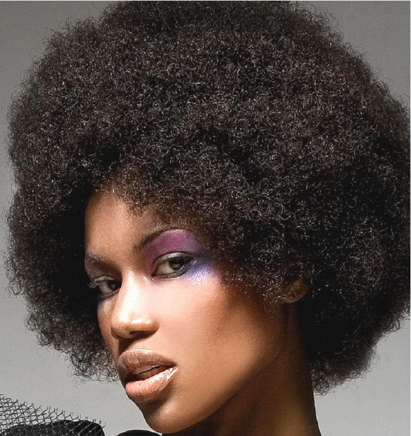 African Natural Hairstyle
 African American hairstyles for women 2013