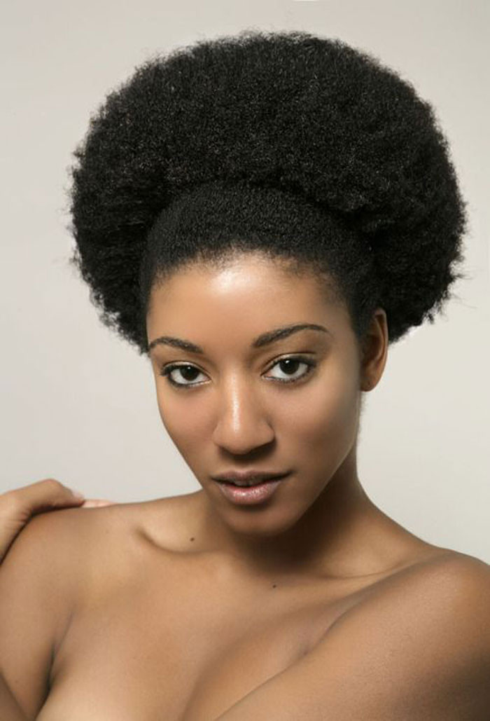 African Natural Hairstyle
 It s Vera vs Her Natural Hair The Holiday Hairstyle