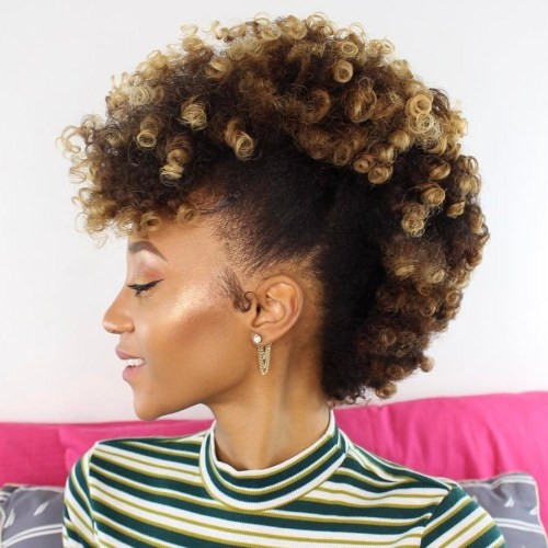 African Natural Hairstyle
 30 Best Natural Hairstyles for African American Women
