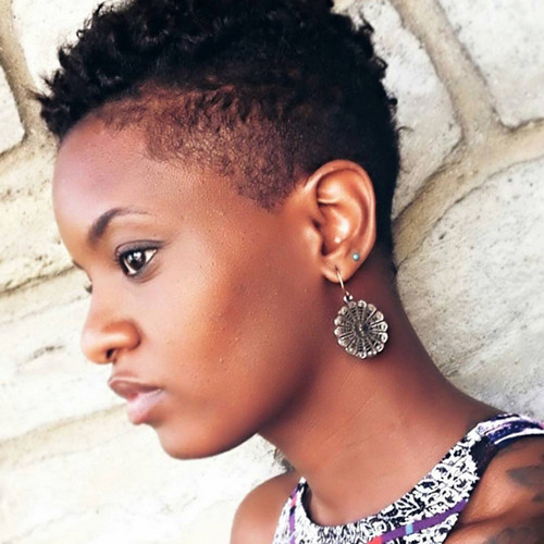 African Natural Hairstyle
 Short Natural African American Hairstyles