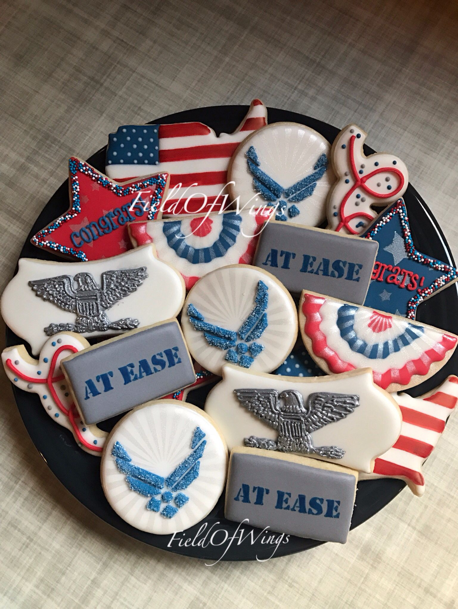 Air Force Retirement Party Ideas
 US Air Force Retirement Sugar Cookies