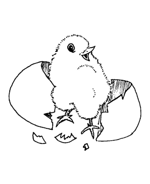 Animal Coloring Pages For Girls
 Coloring Pages For Girls Baby chicken cute animal