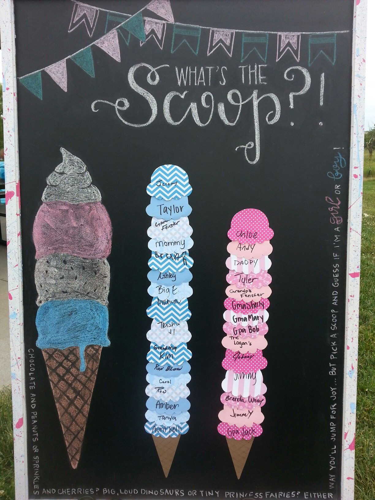 Baby Announcement Party
 Gender reveal party boy or girl ice cream theme