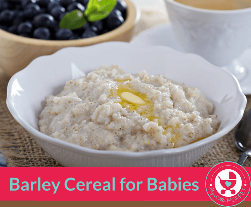 Baby Barley Cereal
 How to make Barley Cereal for Babies My Little Moppet