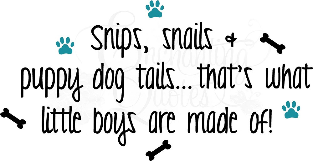 Baby Boy Quote
 Snips Snails & Puppy Dog Tails Baby Boy Quotes Sayings