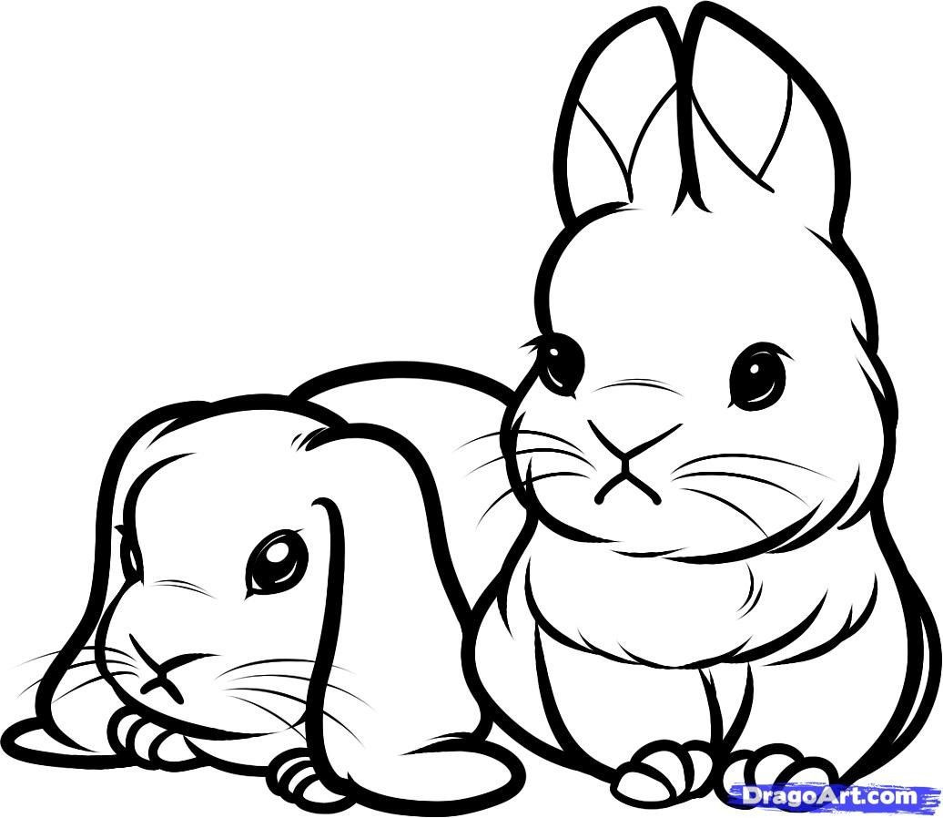 Baby Bunnies Coloring Pages
 Printable Coloring Pages Baby Bunnies