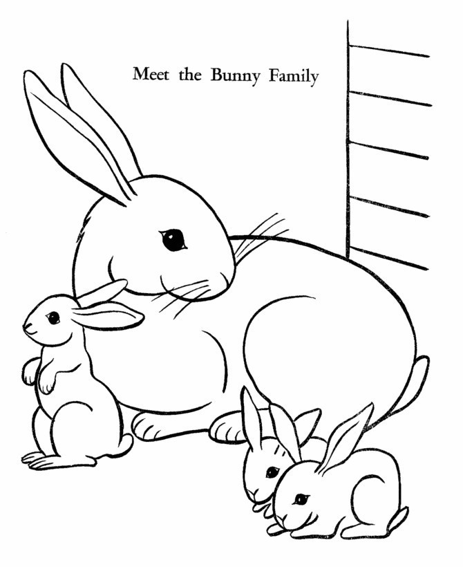 Baby Bunnies Coloring Pages
 Baby Alive Coloring Pages Coloring Pages For Children