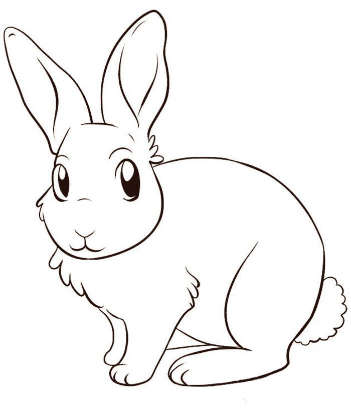 Baby Bunnies Coloring Pages
 Riscos graciosos Cute Drawings Riscos de coelhos