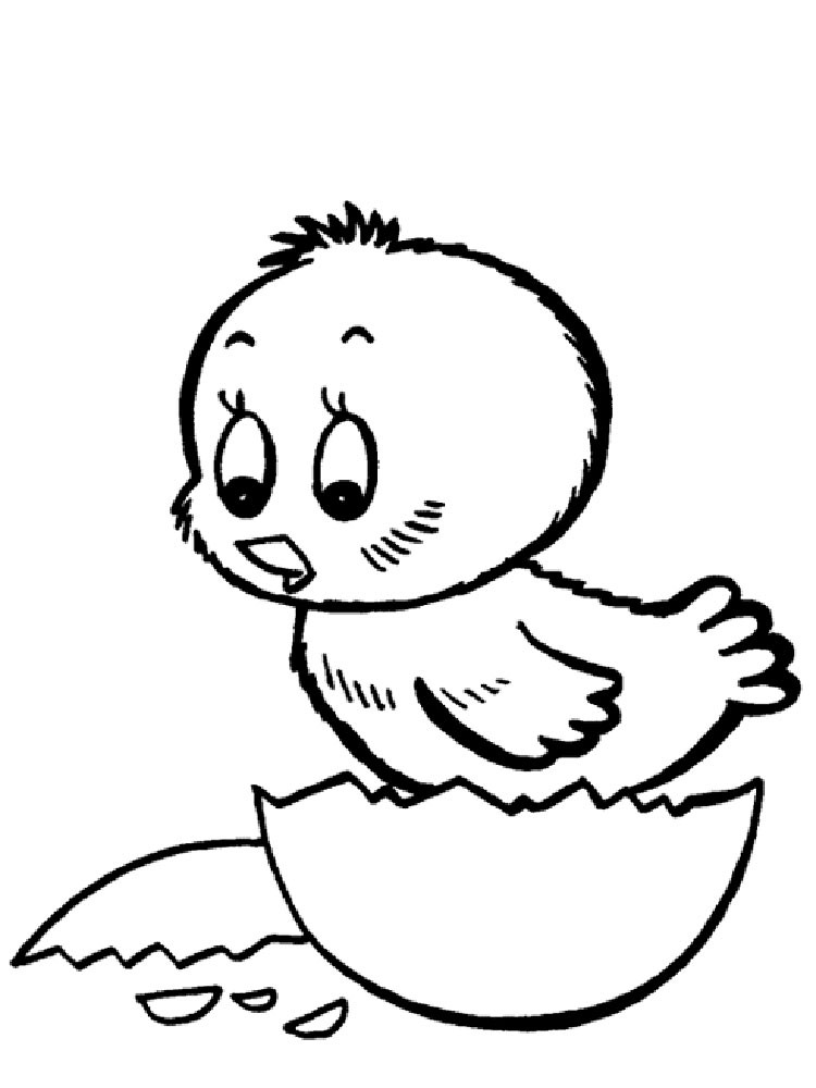 Baby Chicks Coloring Page
 Baby Chick coloring pages Download and print Baby Chick
