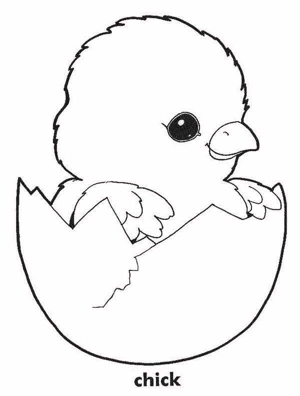 Baby Chicks Coloring Page
 Baby Chick In His Eggshell Coloring Page Kids Play Color