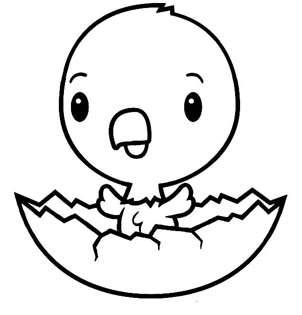 Baby Chicks Coloring Page
 Chick Coloring Page Best Coloring Pages For Kids