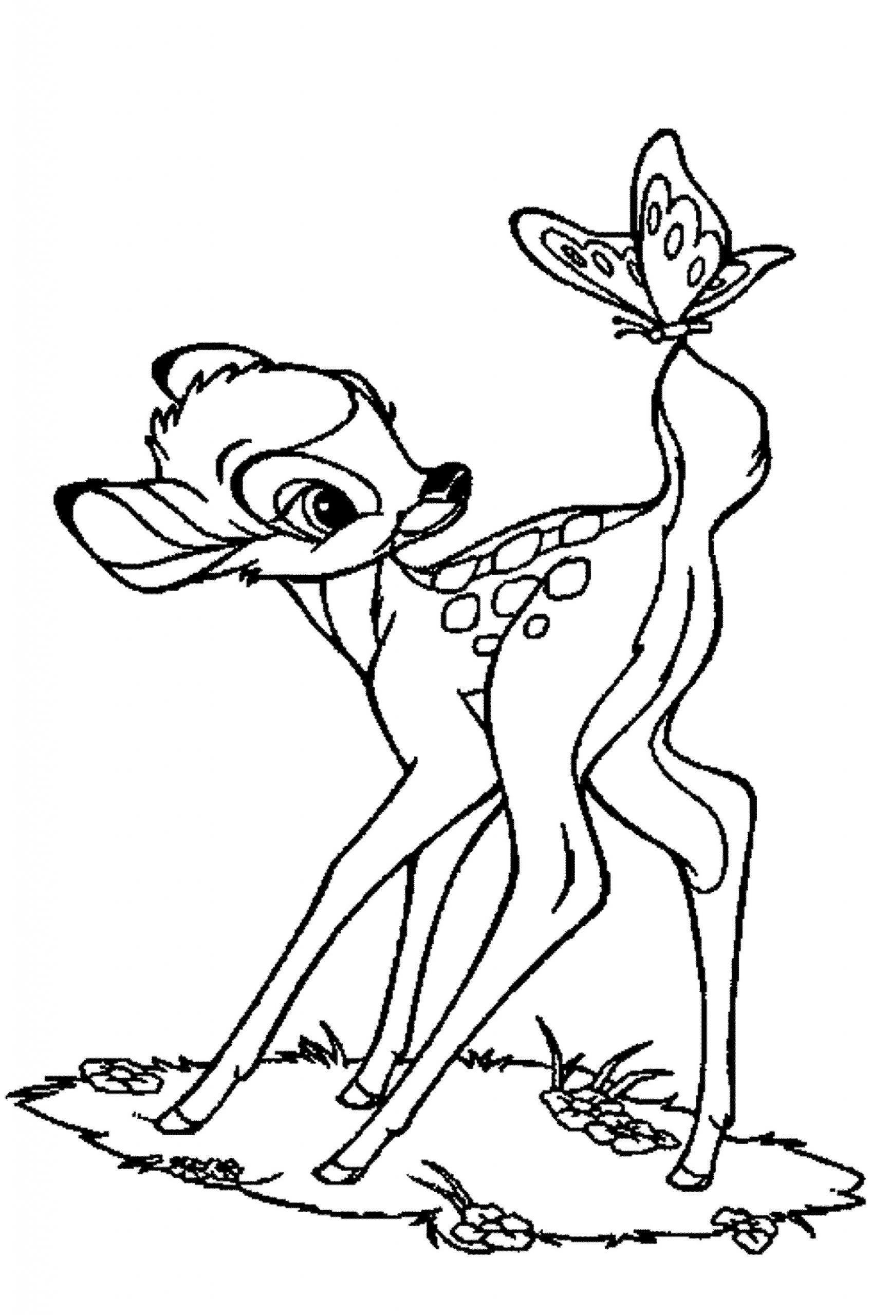 Baby Deer Coloring Pages
 baby deer coloring pages Printable Kids Colouring Pages