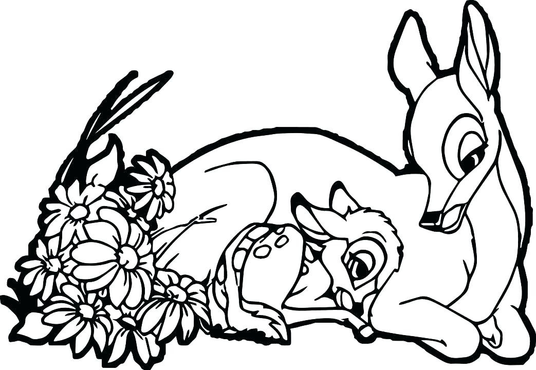 Baby Deer Coloring Pages
 Cute Coloring Pages Best Coloring Pages For Kids