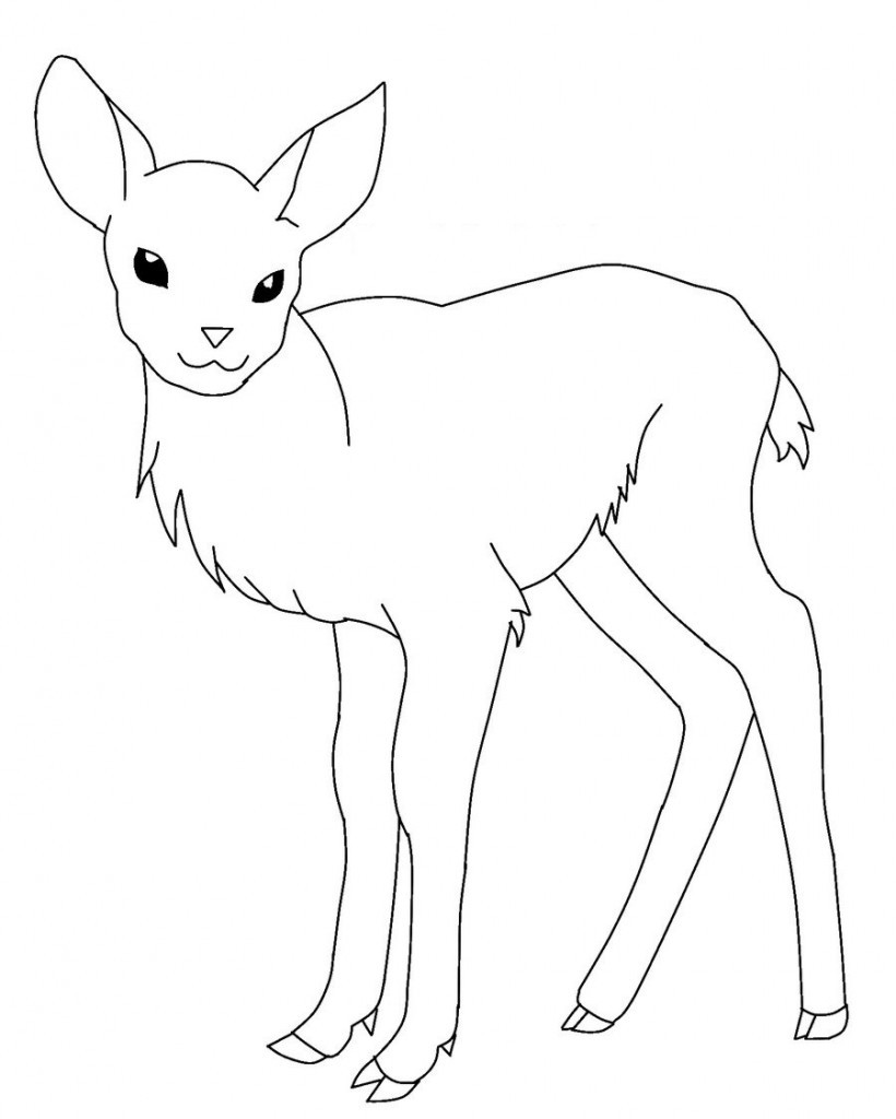Baby Deer Coloring Pages
 Free Printable Deer Coloring Pages For Kids
