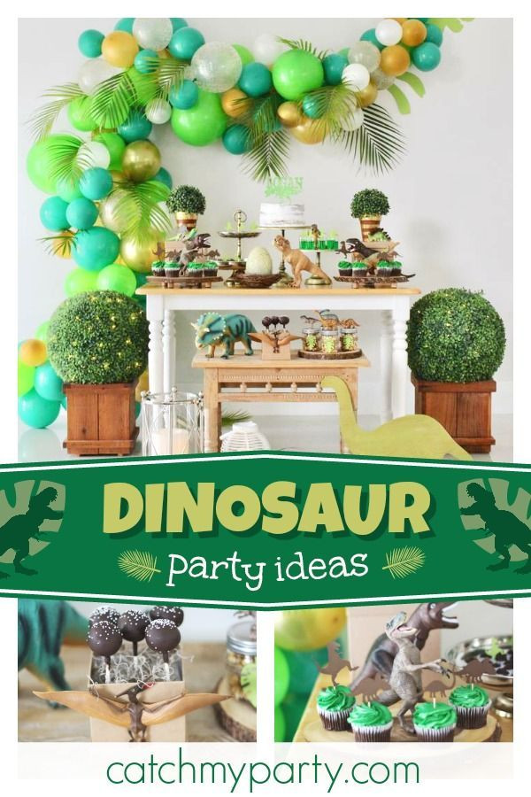 Baby Dinosaur Birthday Party
 Check out this awesome dinosaur birthday party The