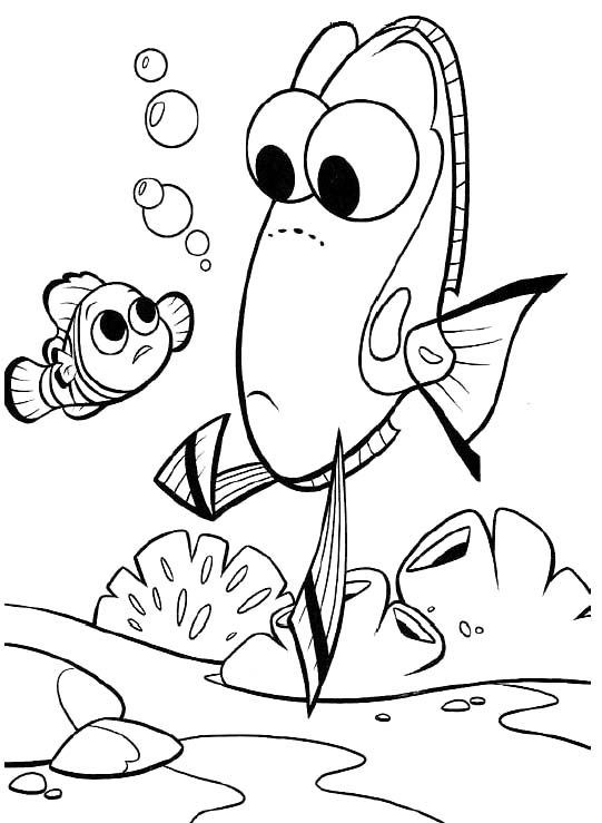 Baby Dory Coloring Page
 Dory Coloring Pages Best Coloring Pages For Kids
