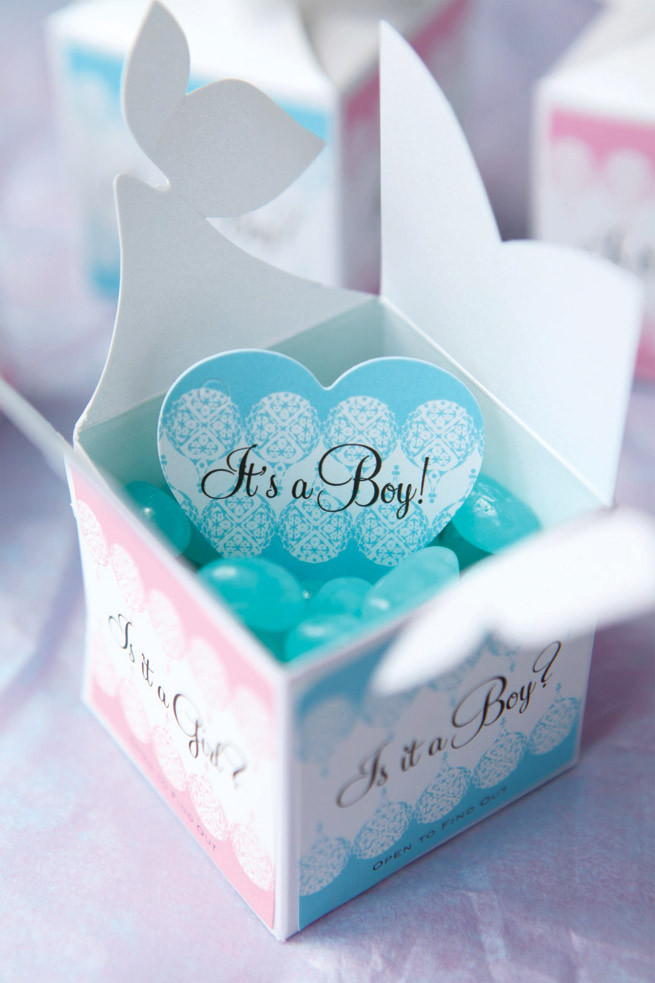 Baby Gender Reveal Party Gifts
 Baby Gender Reveal Gifts Party Inspiration